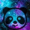 kozmicpanda